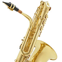 Palheta de Sax Baixo